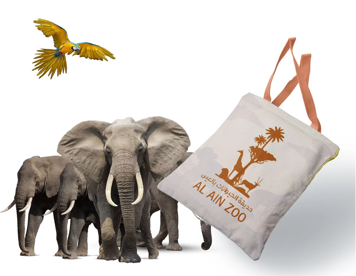Go Up AE - Safari Souvenir Bag Mockup