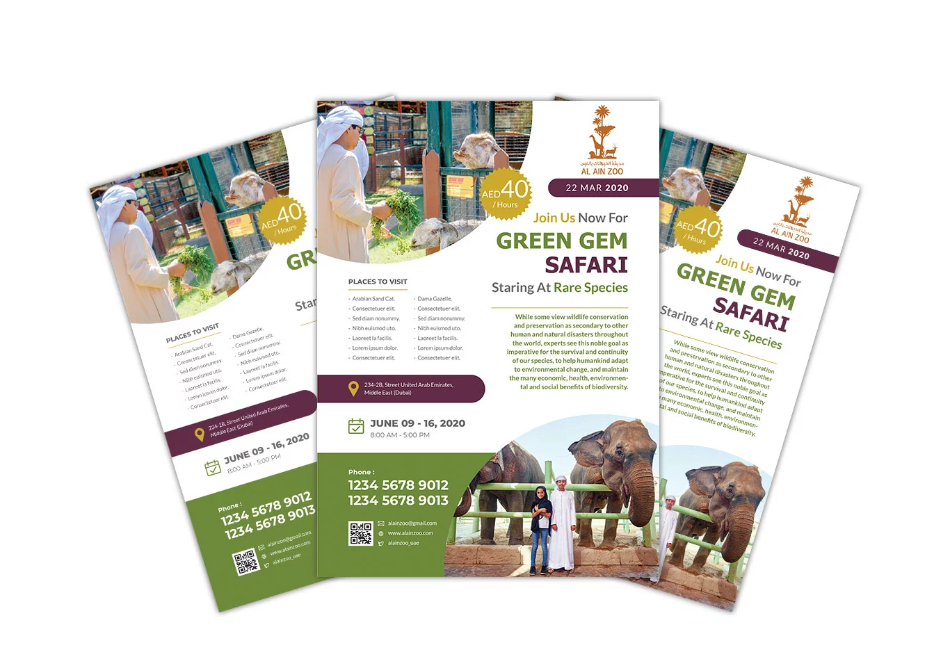 Go Up AE - Safari Brochure