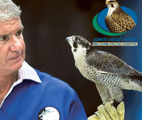 Go Up AE - Abu Dhabi Falcon Hospital