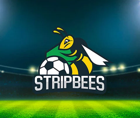 Go Up AE - Stripbees